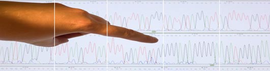 Consigue tu electroferograma en easyDNA B&eacute;lgica