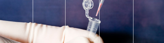 Qui Sommes Nous - easyDNA Belgique